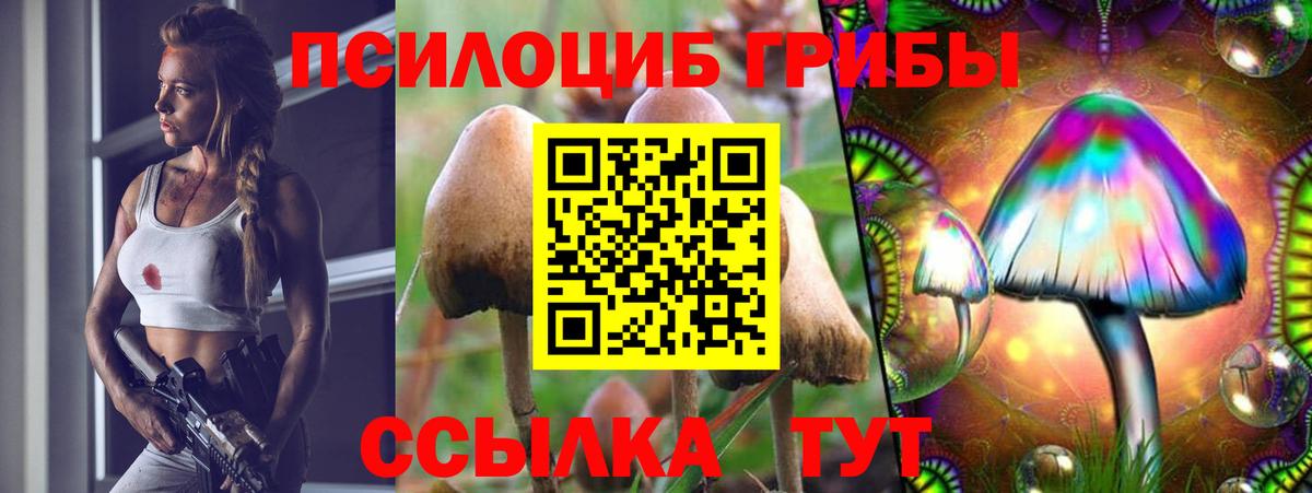 Галлюциногенные грибы ЛСД Курган