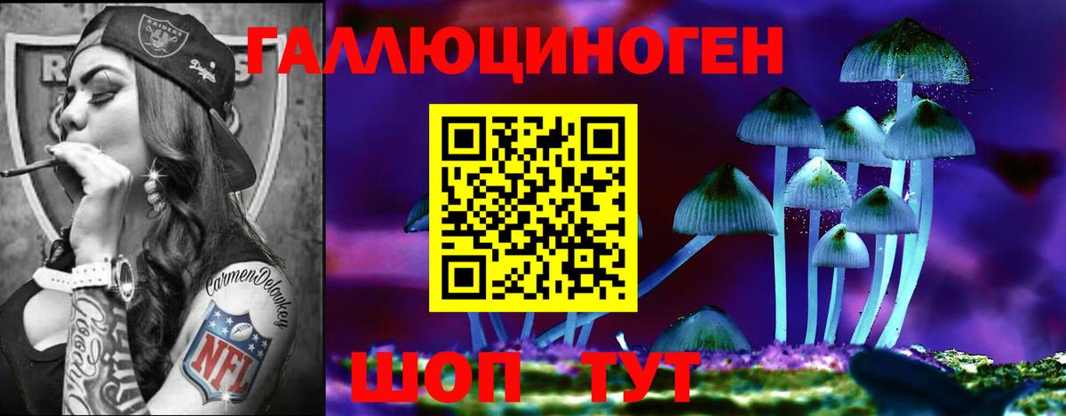 Курган  Псилоцибиновые грибы Cubensis  наркошоп  Вход с VPN 